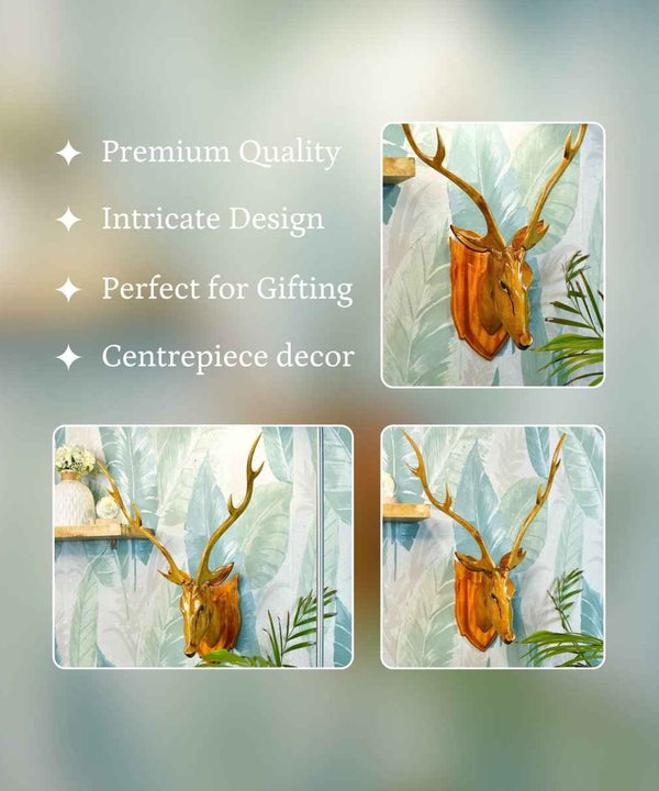Sowpeace Majestic Deer Head: Hand-Carved Grandeur for Your Home — image 3