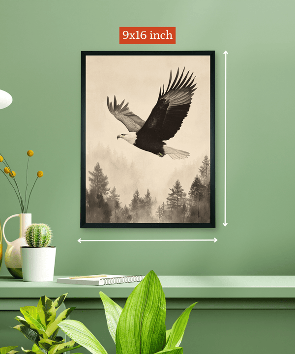 Chitran Eagle Soaring — image 5