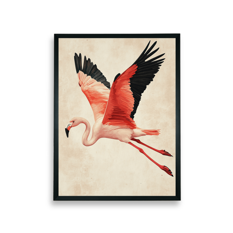 Chitran Flamingo Flight – view 7