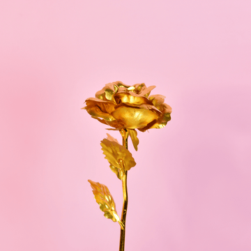 Sowpeace Golden Love Decorative Piece | Elegant Gold Home Décor & Romantic Gift Item. - Sowpeace - 