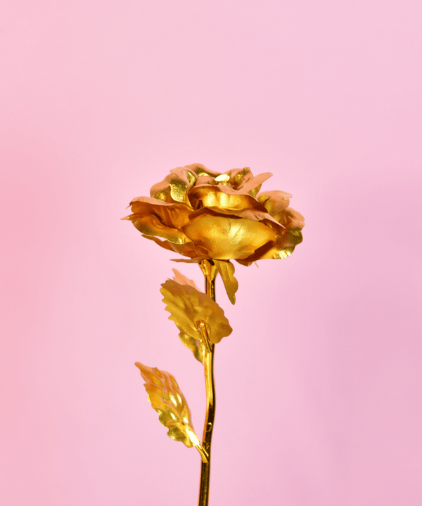 Sowpeace Golden Love Decorative Piece | Elegant Gold Home Décor & Romantic Gift Item. — main view