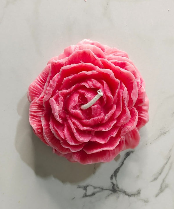Sowpeace Red Rose Soywax Candle Set of 2 – Hand-Poured, Vegan, Unscented Decorative Gift — main view